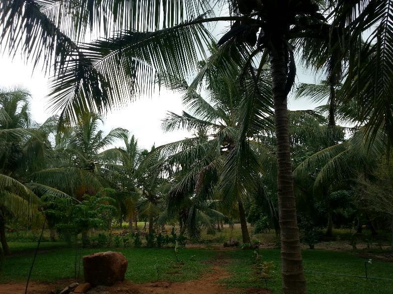 Serenity Lake Resort Yala Тисамахарама Екстериор снимка