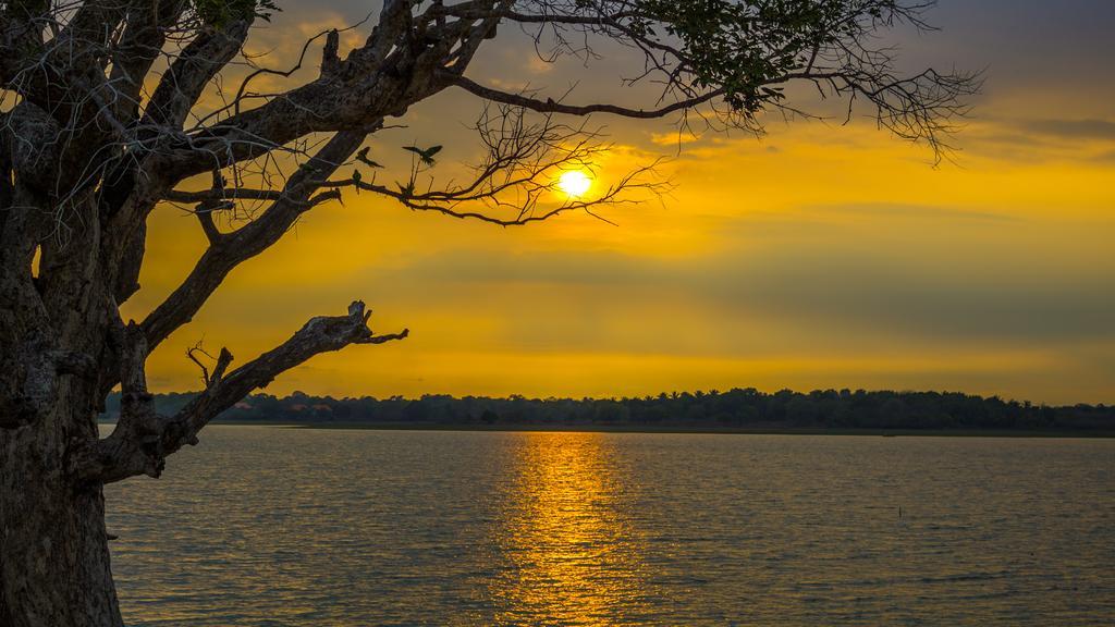 Serenity Lake Resort Yala Тисамахарама Екстериор снимка