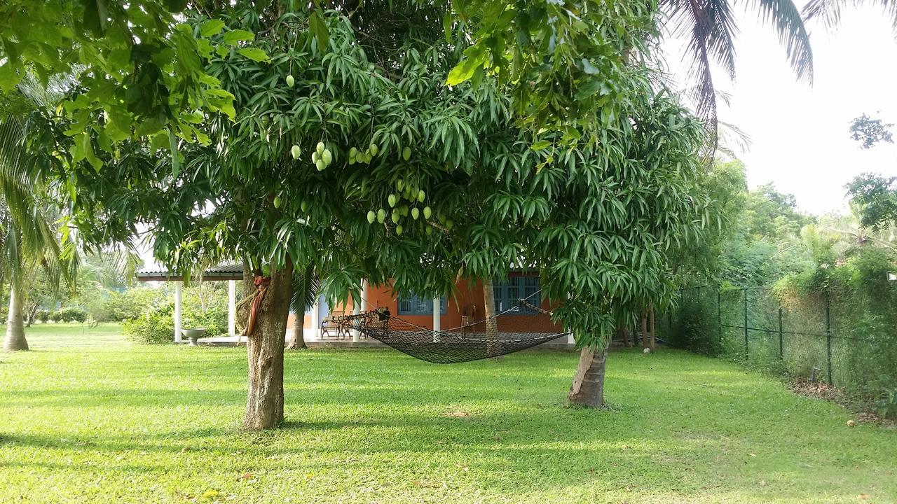 Serenity Lake Resort Yala Тисамахарама Екстериор снимка